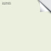 Tint of Mint (851): 9"x14.75"