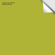 Tequila Lime (2028-30): 9"x14.75"