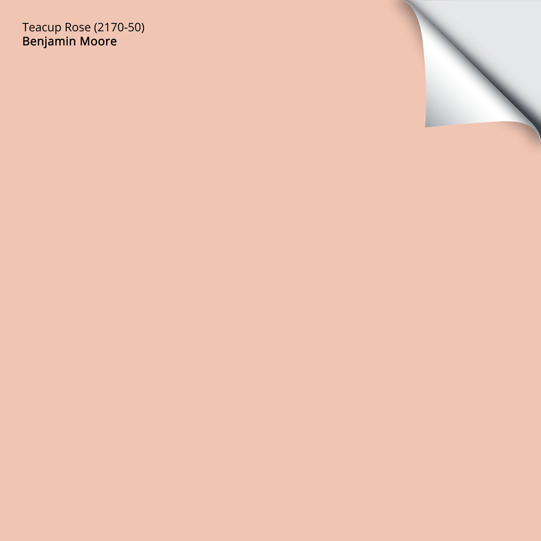 Teacup Rose (2170-50): 9