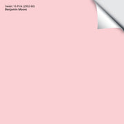 Sweet 16 Pink (2002-60): 9"x14.75"