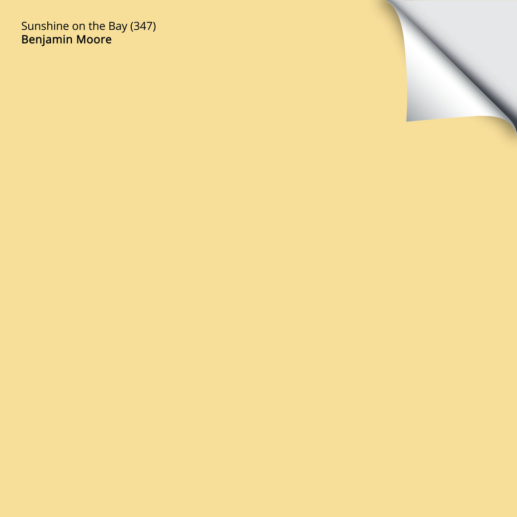 Sunshine on the Bay (347): 9